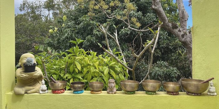 Singing bowls lined up on a low wall, in front of greenery