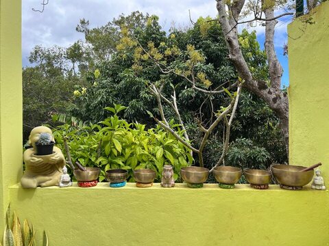 Singing bowls lined up on a low wall, in front of greenery